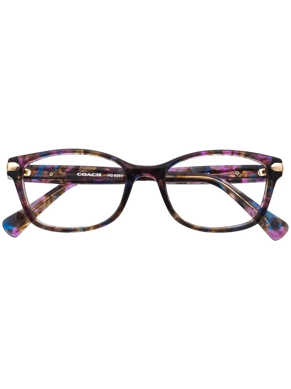 Coach HC 6065 5288 Eyewear